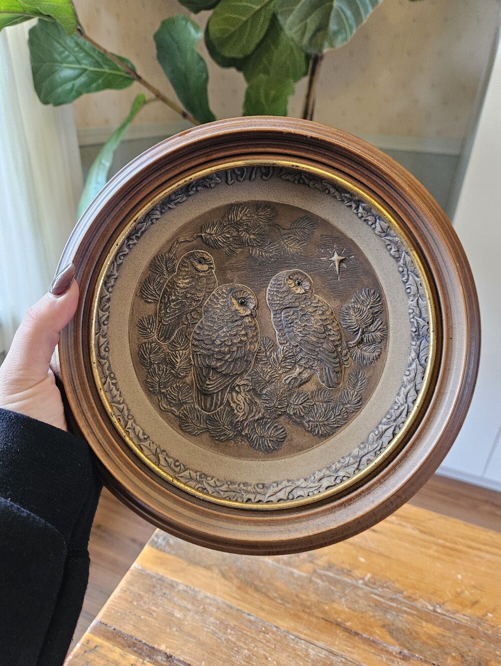 Vintage Owl Plate w/ Frame, Collectible